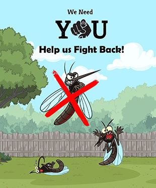 Mosquito Control image