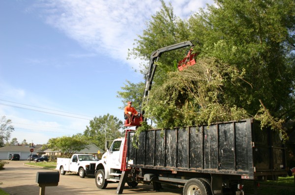 Truck containing brush, limbs, and heavy trash