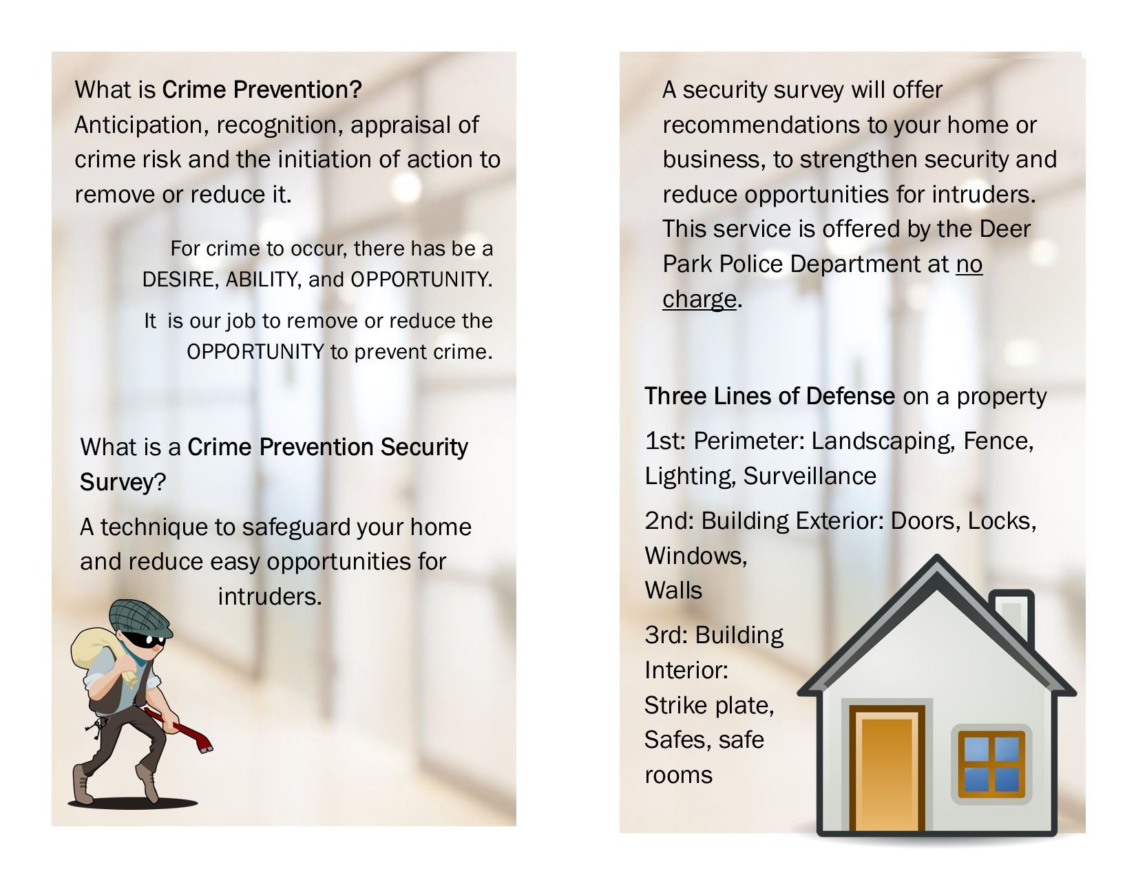 Security Survey Flyer